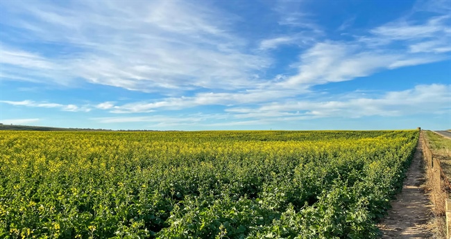 What's Included in a Comprehensive Farm Insurance Policy?